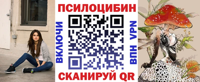 ОМГ ОМГ зеркало  Талица  Псилоцибиновые грибы Psilocybe 